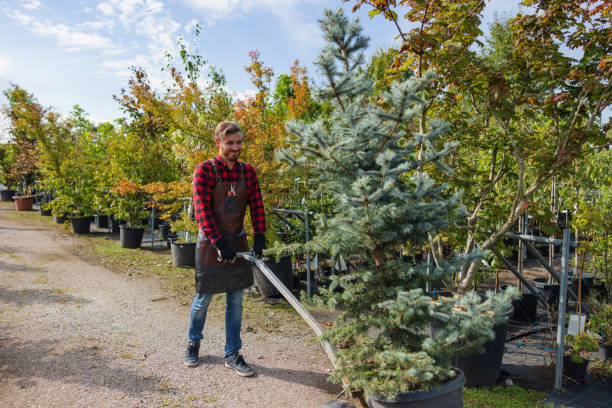 Best Tree and Shrub Care  in Fishhook, AK